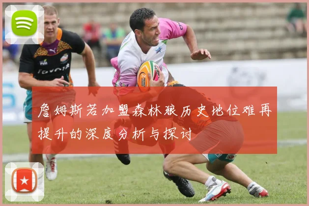 詹姆斯若加盟森林狼历史地位难再提升的深度分析与探讨